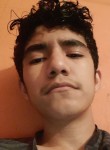 Gustavo lñ, 19 лет, Tecoman