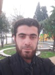 ناصر, 29 лет, İstanbul