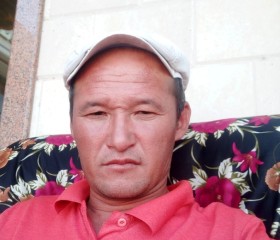 Ержан, 42 года, Қазықұрт