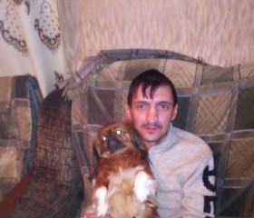 Лев, 41 год, Брянск