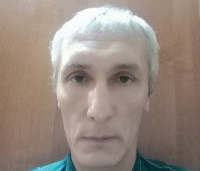 Сергей, 50 лет, Заинск