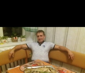 Сергей, 55 лет, Ефремов