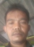 Yana, 47 лет, Kota Bandung