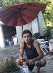 Alex, 21 год, New Bedford