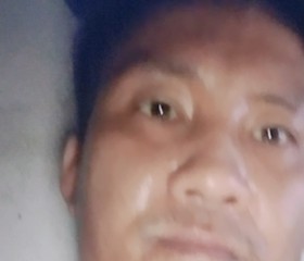 hướng, 35, Haiphong