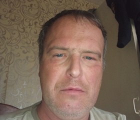 Aleksey, 44, Aleksin
