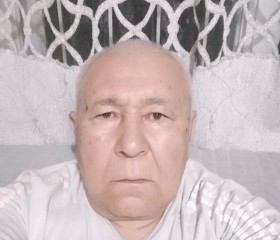 Рашид Артыкбаев, 65 лет, Жалал-Абад шаары
