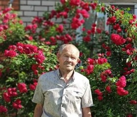 Николай Михеенко, 72 года, Марганец
