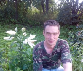 Виктор, 51 год, Кесова Гора