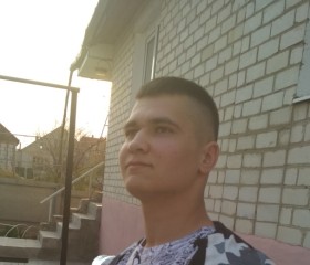 Андрей Перчаткин, 26 лет, Курск