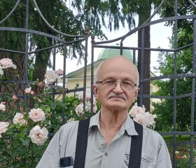 Сергей, 70 лет, Санкт-Петербург