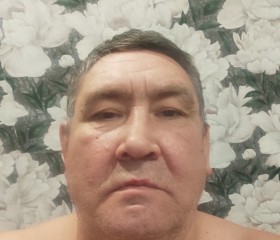 Николай, 52 года, Белгород
