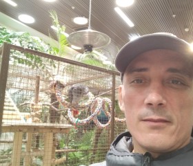 Almaz, 45, Lyantor