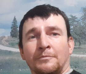 Алексей, 39 лет, Шадринск