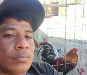 Pedro Sonora, 36 лет, Acapulco de Juárez