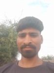 Vinesh, 29 лет, Rajkot