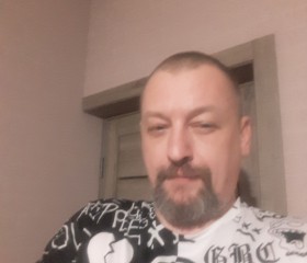 Александр, 44 года, Краснодар