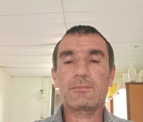 Миша, 54 года, Краснодар