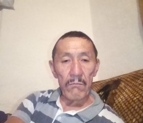 Толомуш, 61 год, Бишкек