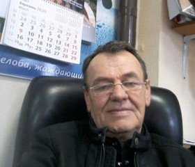 Владимир, 66 лет, Видное