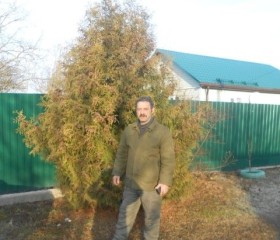 Степан, 67 лет, Смоленск