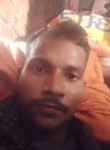Amir, 24 года, New Delhi
