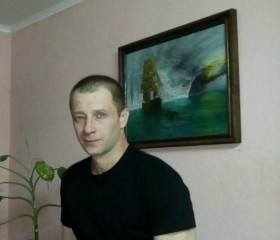 Василий, 41 год, Гурьевск (Калининградская обл.)