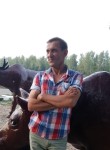 толя, 53 года, Жуковский