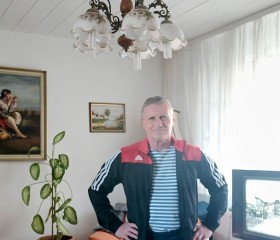 Andrej Horn, 63, Hosbach