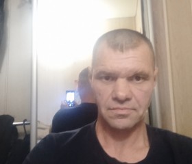 Роман, 41 год, Барнаул