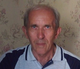 Александр Чупеев, 71 год, Воронеж