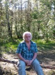 Владимир, 68 лет, Архангельск