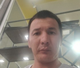 Daniyar, 36 лет, Toshkent