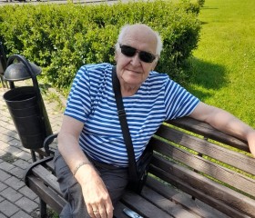 Александр, 80 лет, Москва