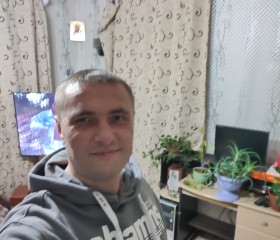 Сергей Палханов, 46 лет, Тавда