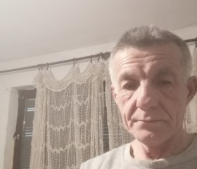 Steva, 64 года, Нови Сад