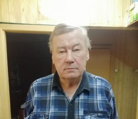 БИФ, 78 лет, Гусь-Хрустальный