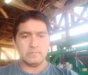 Jorge, 45 лет, San Martín de los Andes
