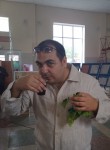 Роман, 41 год, Балашов