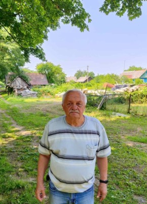 Валерий, 69, Рэспубліка Беларусь, Горад Нясвіж