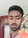 Sridhar Sridhar, 23 года, Coimbatore