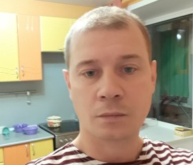 Валерий, 37 лет, Вологда