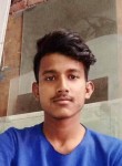 Surjeet, 22 года, Pinjaur