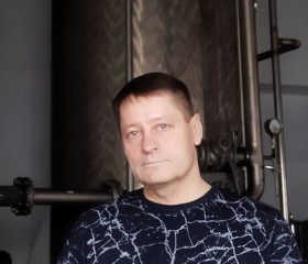 Олег Шевченко, 54 года, Горад Барысаў