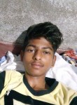 Bikash Kumar, 18 лет, Bauda
