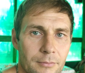 Николай Егоров, 41 год, Краснодар