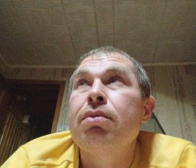 Денис, 42 года, Александров