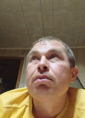 Денис, 42, Россия, Александров