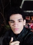 Marco, 18 лет, Cascavel (Paraná)