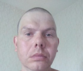 Радомир, 46 лет, Берасьце